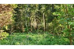 Landliebe pur! Idyllische Alleinlage im Wald. - Bauernhaus, Landhaus Bochum Bochum-Südwest | Angebot:26897328
