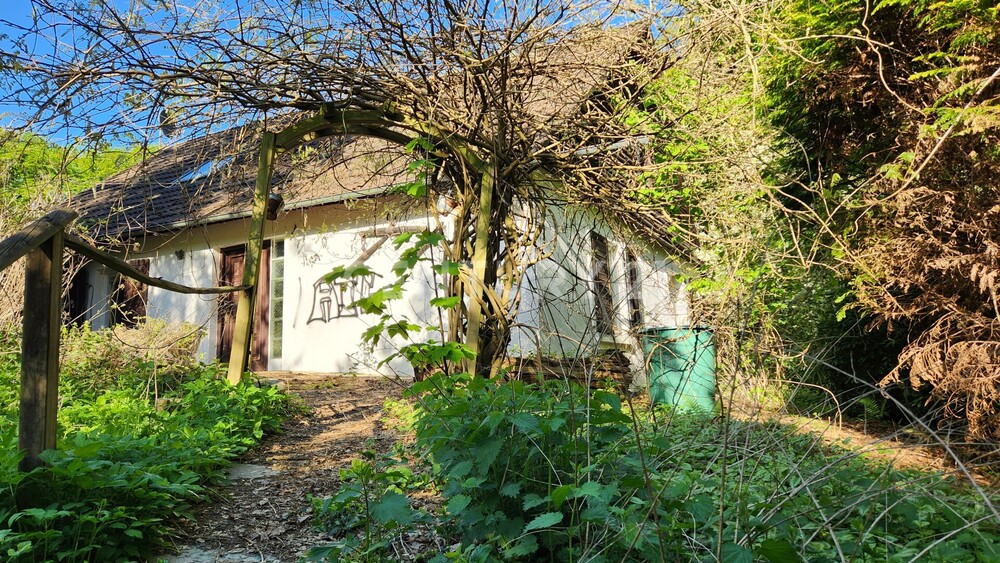 Haus - Frontansicht